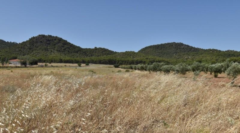 Granada - Padul - 27715m2