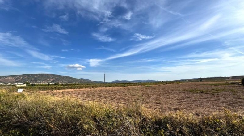Alicante - Dolores - 19589m2