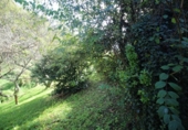 Chalet independiente con terreno en venta en la España, Gijón, ref: TR292291 foto