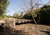 Chalet independiente con terreno en venta en la España, Churriana de la Vega, ref: TR291475 foto