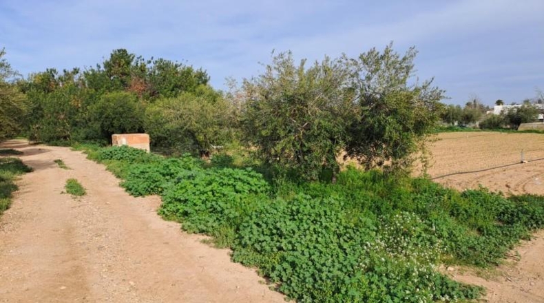 Tarragona - Reus - 11534m2
