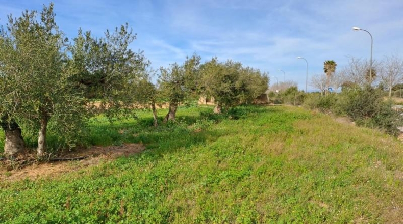Tarragona - Reus - 11534m2
