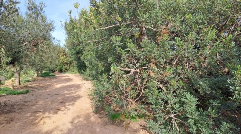 Tarragona - Reus - 11534m2