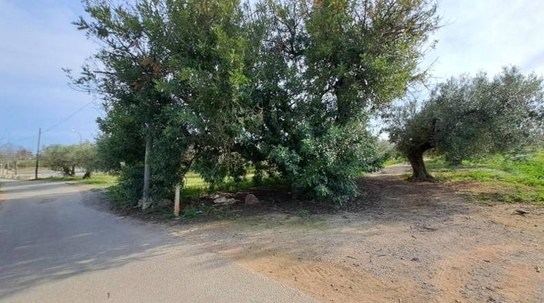Tarragona - Reus - 11534m2