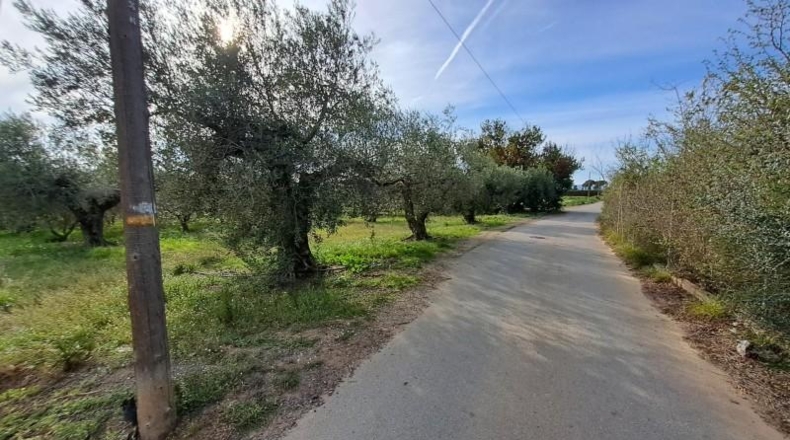 Tarragona - Reus - 11534m2