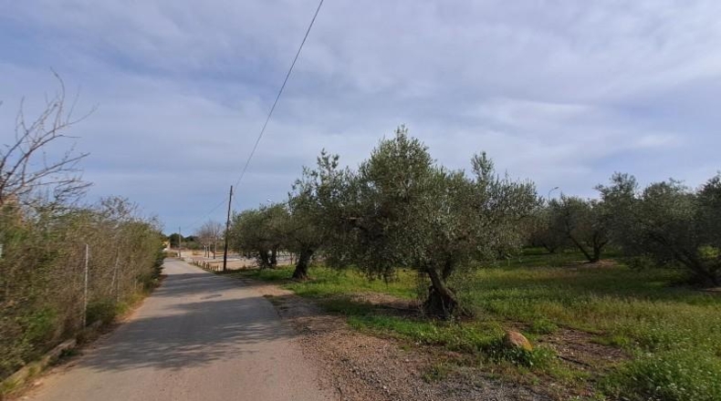 Tarragona - Reus - 11534m2