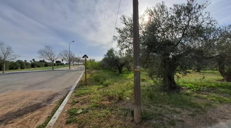 Tarragona - Reus - 11534m2