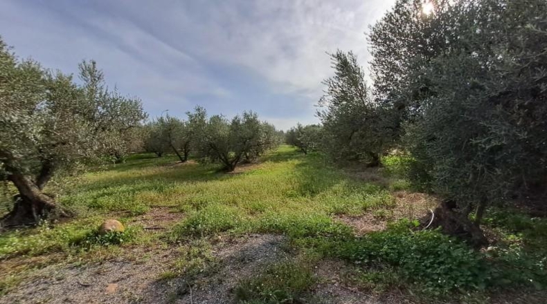 Tarragona - Reus - 11534m2