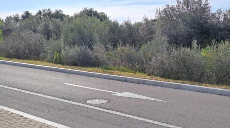 Tarragona - Reus - 11534m2