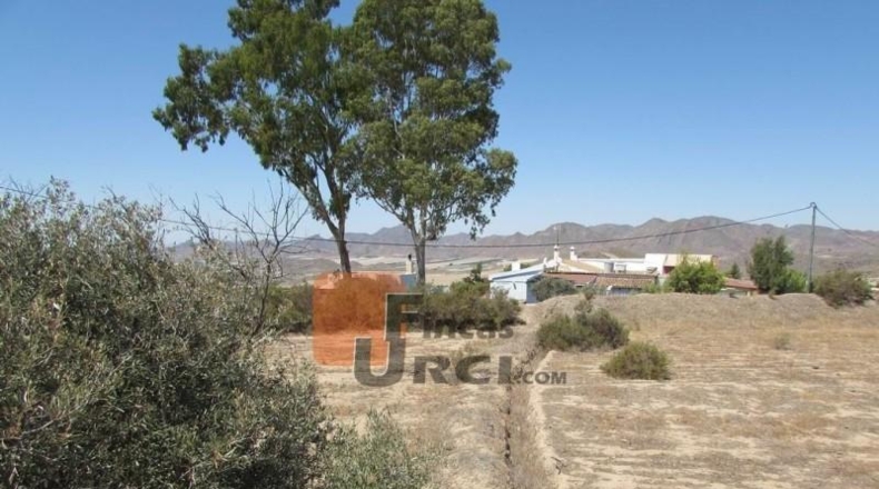 Murcia - Агилас - 20000m2