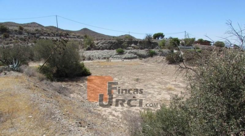 Murcia - Агилас - 20000m2