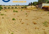 Sòl urbà en venda a la España, Lorca, ref.: TR125180 foto