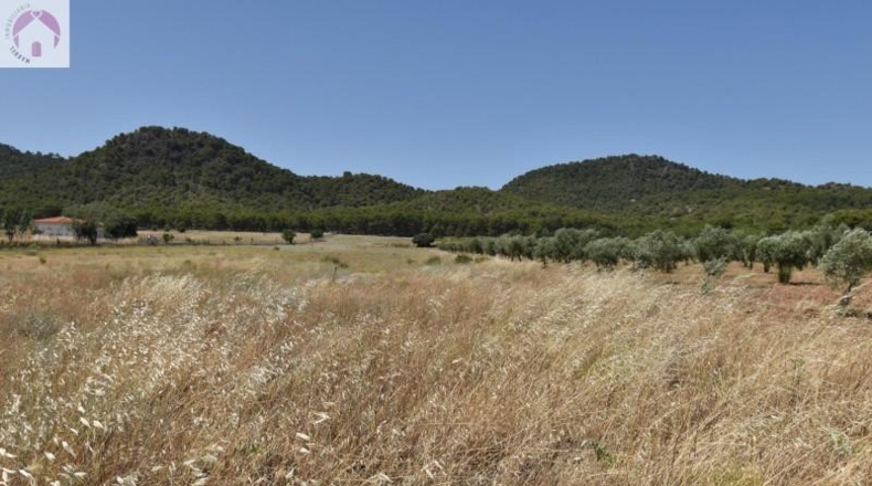 Granada - Padul - 27715m2