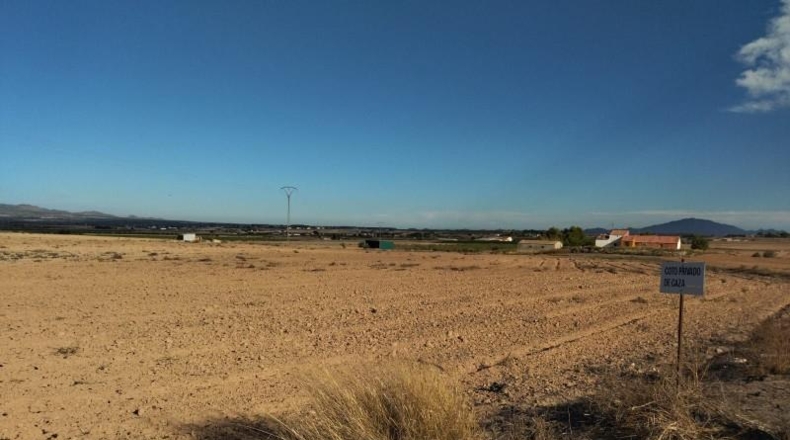 Murcia - Totana - 33965m2