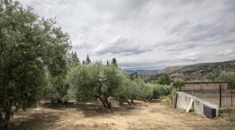 Granada - Huétor de Santillán - 1489m2