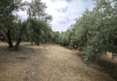 Sòl urbà en venda a la España, Huétor de Santillán, ref.: TR326048 foto