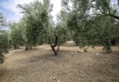 Sòl urbà en venda a la España, Huétor de Santillán, ref.: TR326048 foto