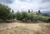 Sòl urbà en venda a la España, Huétor de Santillán, ref.: TR326048 foto