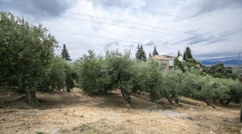 Granada - Huétor de Santillán - 1489m2