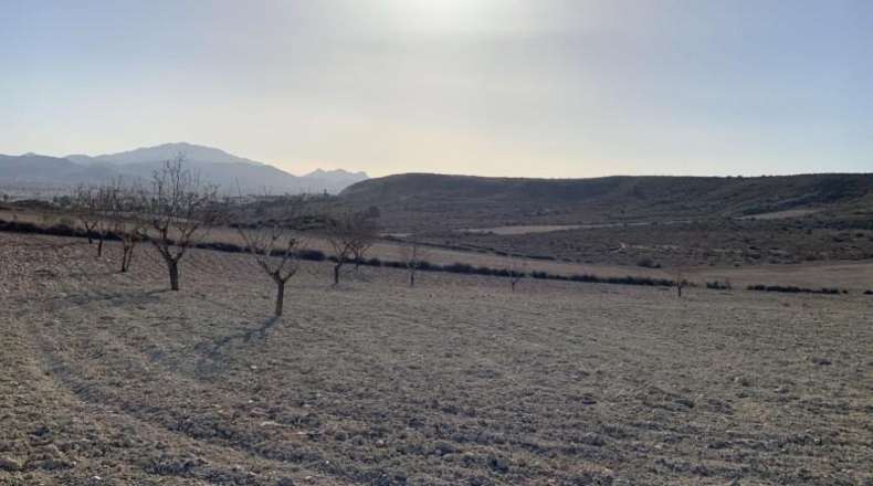 Мурсия - Масаррон - 32422m2