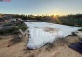 Sòl urbà en venda a la España, Dos Hermanas, ref.: TR276539 foto