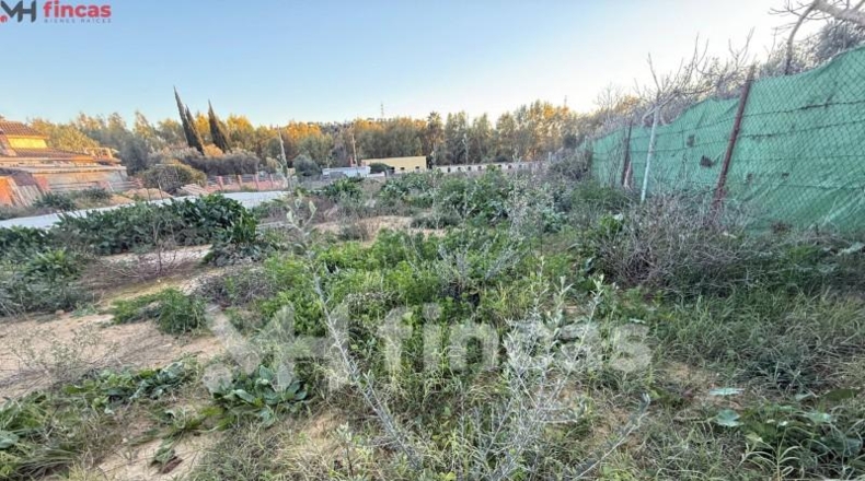 Sevilla - Dos Hermanas - 600m2
