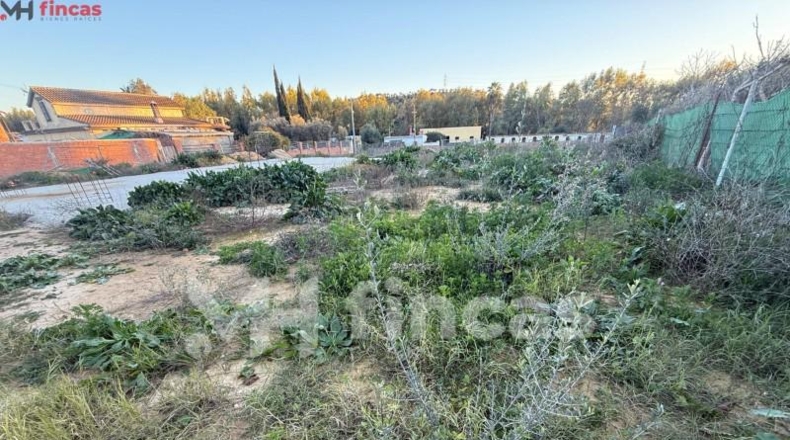 Sevilla - Dos Hermanas - 600m2