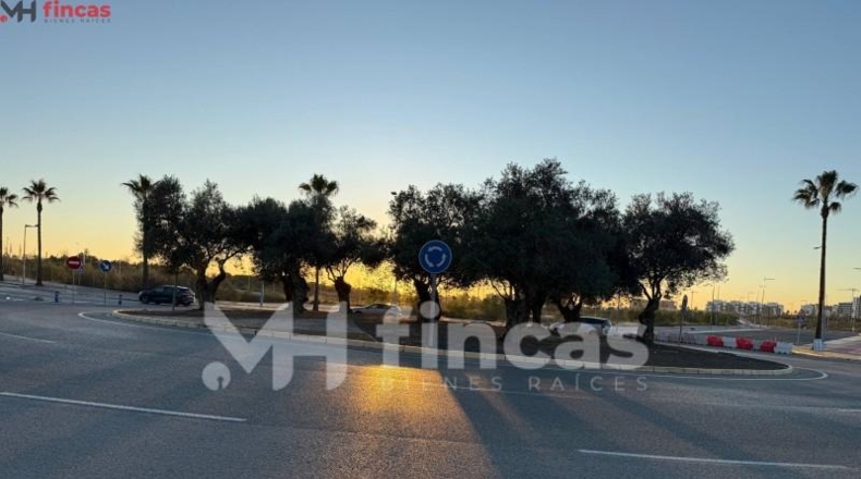 Sevilla - Dos Hermanas - 600m2