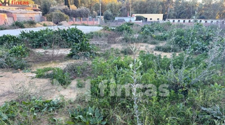 Sevilla - Dos Hermanas - 600m2