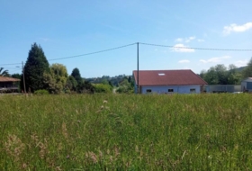 Foto 20