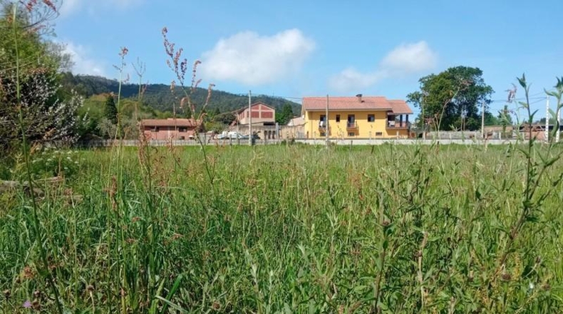 Asturias - Cudillero - 2433m2