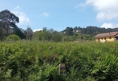 Parcel·la urbanitzable en venda a la España, Cudillero, ref.: TR239047 foto