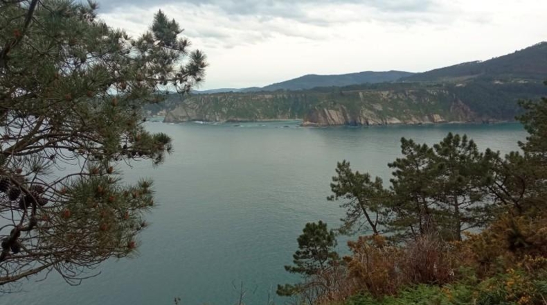Asturias - Cudillero - 2433m2