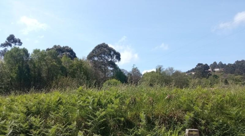 Asturias - Cudillero - 2433m2