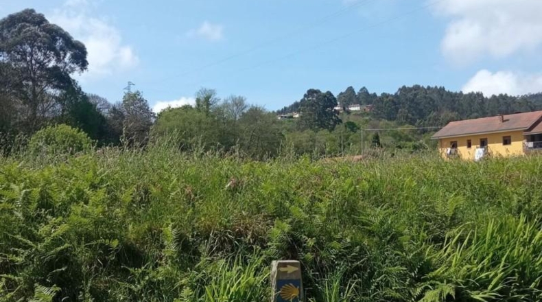 Asturias - Cudillero - 2433m2