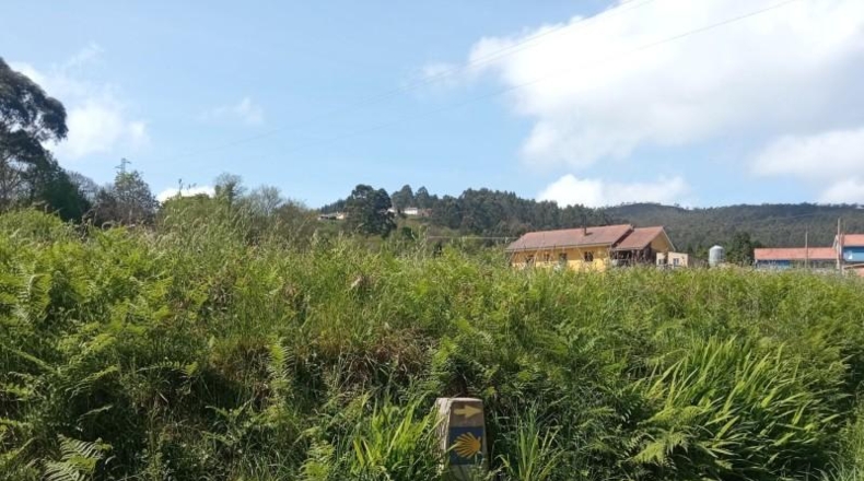 Asturias - Cudillero - 2433m2
