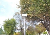 Sòl urbà en venda a la España, El Carpio, ref.: TR364040 foto