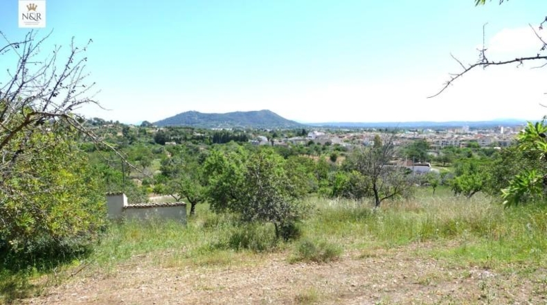 Islas Baleares - Inca - 5500m2