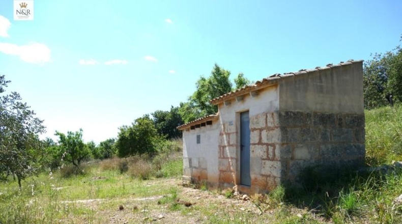 Islas Baleares - Inca - 5500m2