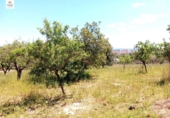 Chalet independiente con terreno en venta en la España, Inca, ref: TR284158 foto