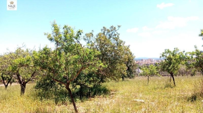 Islas Baleares - Inca - 5500m2