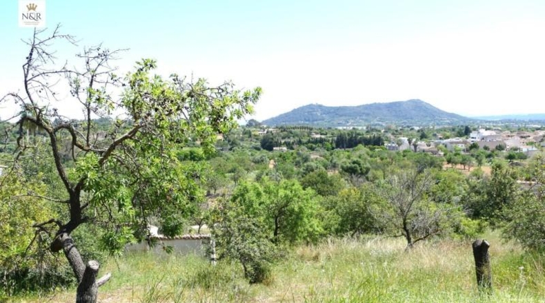 Islas Baleares - Inca - 5500m2