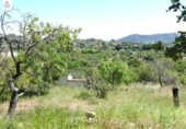 Chalet independiente con terreno en venta en la España, Inca, ref: TR284158 foto