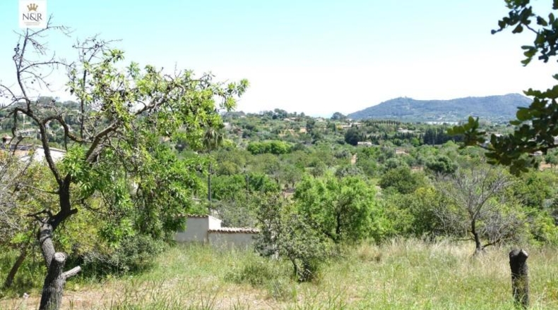 Islas Baleares - Inca - 5500m2