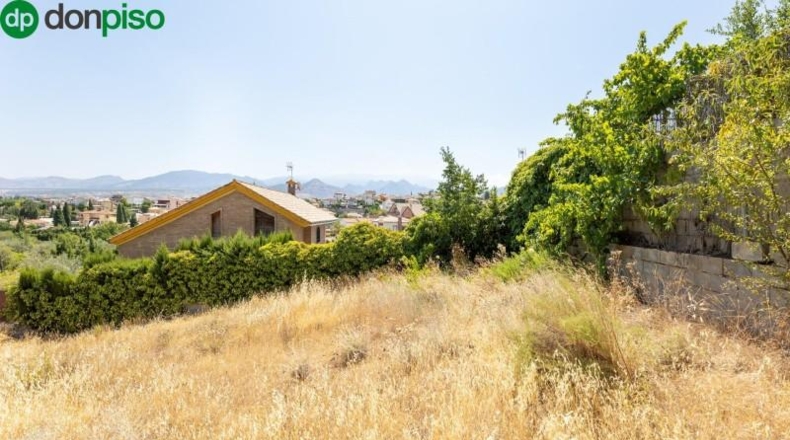 Málaga - Málaga - 590m2