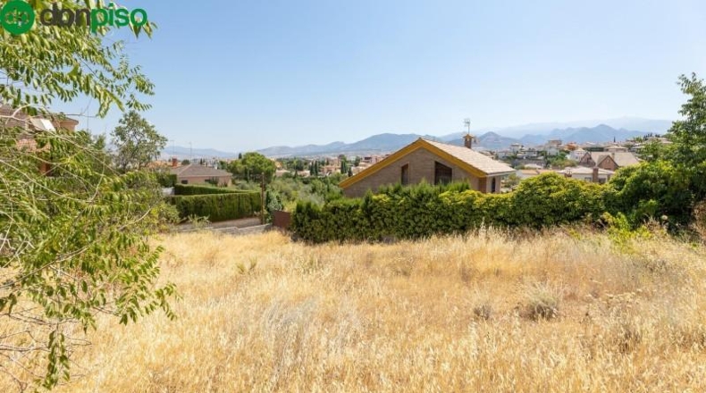 Málaga - Málaga - 590m2