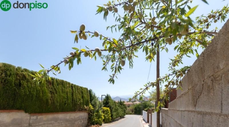 Málaga - Málaga - 590m2