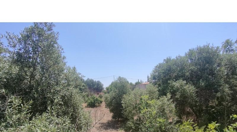 Мурсия - Fuente Álamo de Murcia - 1340m2