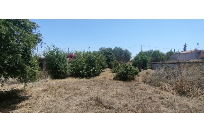 Мурсия - Fuente Álamo de Murcia - 1340m2