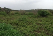 Parcel·la urbanitzable en venda a la España, Encinarejo de Córdoba, ref.: TR131694 foto